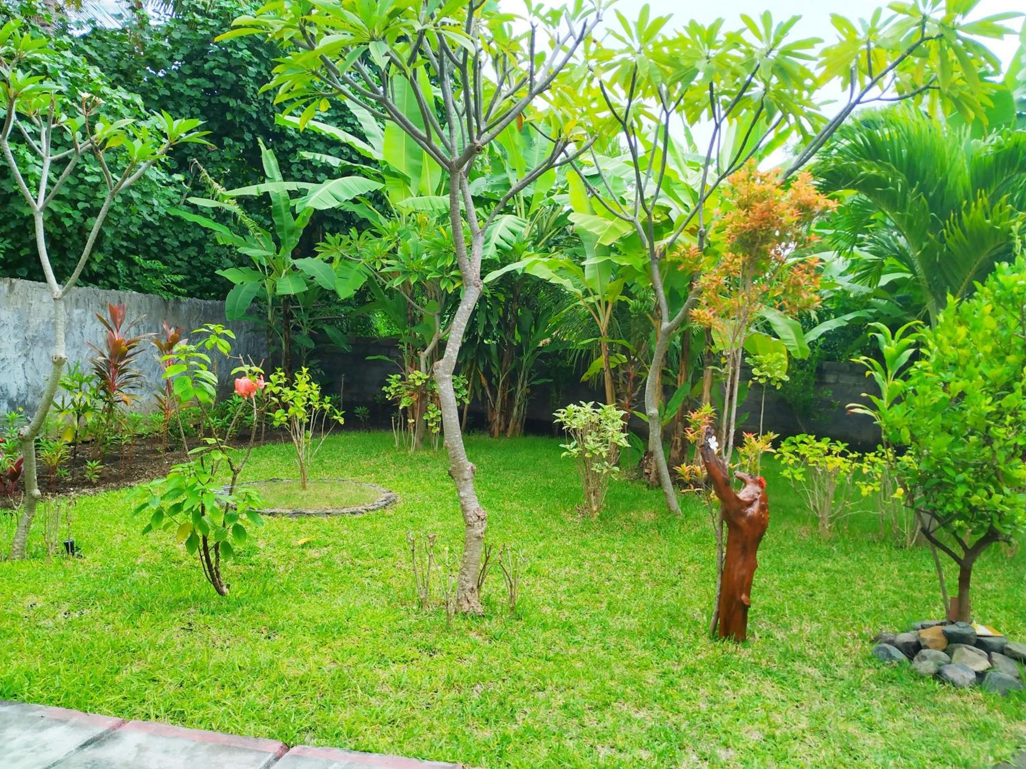 Asih Homestay Pemuteran Zewnętrze zdjęcie