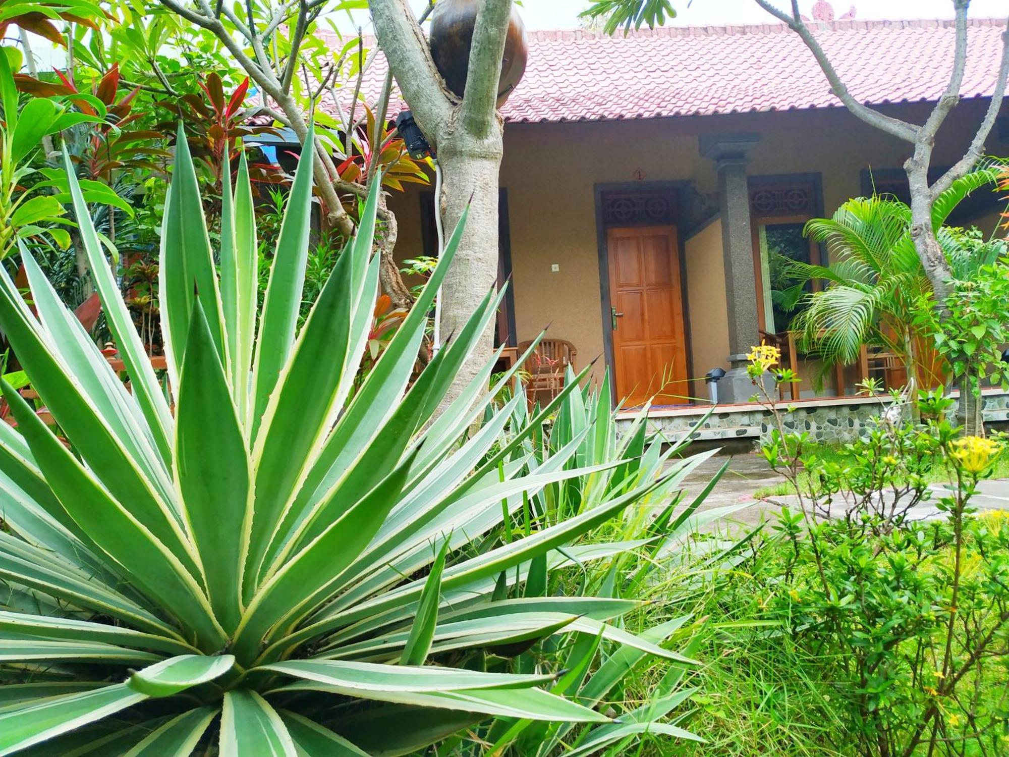 Asih Homestay Pemuteran Zewnętrze zdjęcie