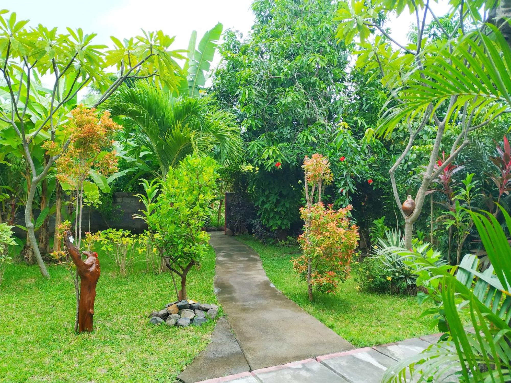 Asih Homestay Pemuteran Zewnętrze zdjęcie